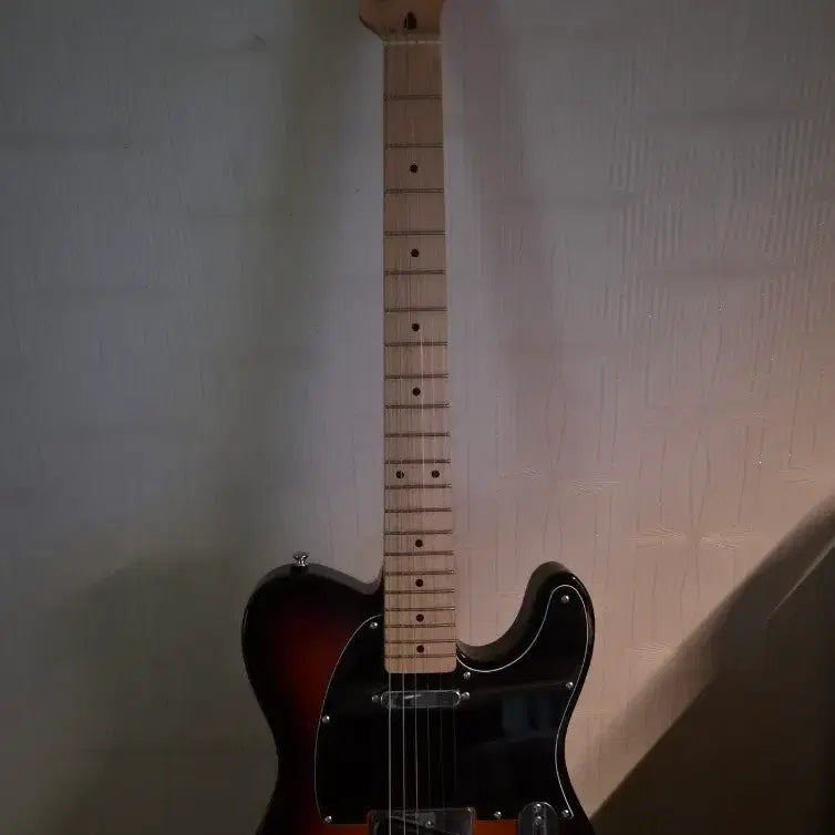 [BUNJANG] Fender Squire Telecaster Electric Guitar / 펜더 스콰이어 텔레 급처해요!