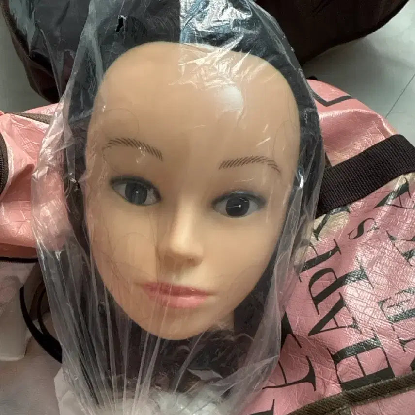 [BUNJANG] Mannequin Head for Makeup and Hair Styling Practice / 통가발