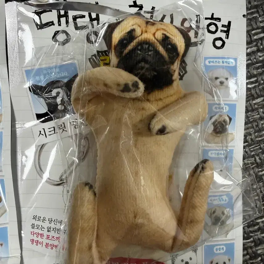 [BUNJANG] Pug Wire Dog Plush Toy / 댕댕이 철사 인형 퍼그