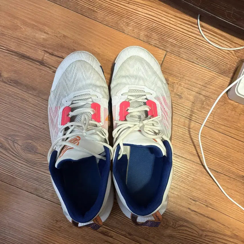 [BUNJANG] Nike Giannis 2 Shoes (Size 290mm) / 나이키 야니스 2 290m
