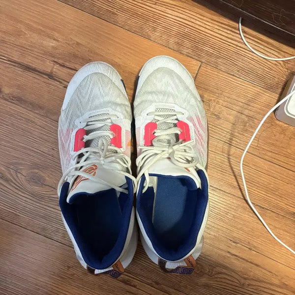 [BUNJANG] Nike Giannis 2 Shoes (Size 290mm) / 나이키 야니스 2 290m
