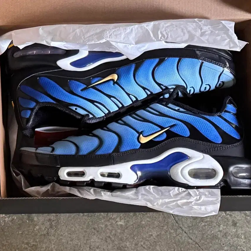 [BUNJANG] Nike Air Max Plus OG / air max plus OG