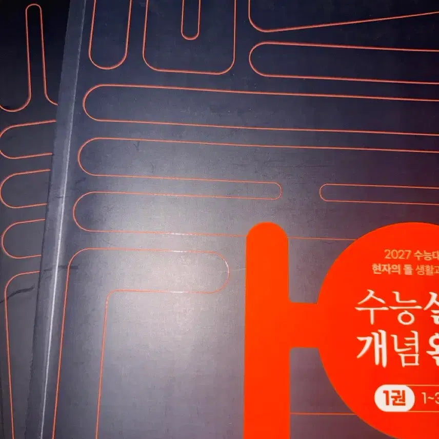 [BUNJANG] The Philosopher's Stone Study Guide - Partially Used / 생윤 현자의돌 실개완
