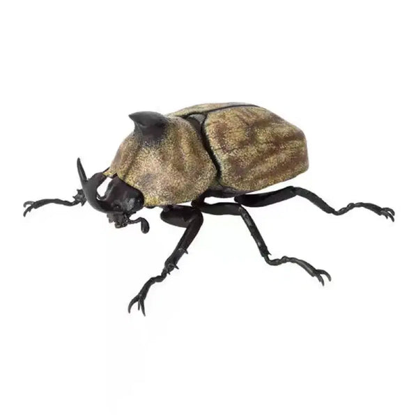 [BUNJANG] Bandai Stag Beetle (Complete) / 반다이 우단장수풍뎅이 완성형