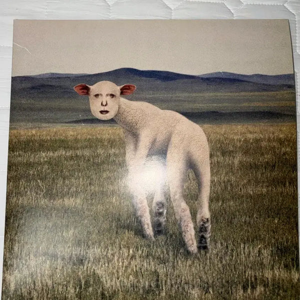 [BUNJANG] Thornapple Animal LP Vinyl Record / 쏜애플 lp 동물 엘피