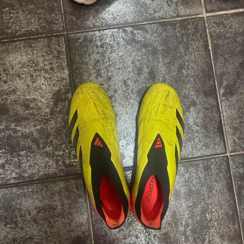 [BUNJANG] Adidas Predator 260 / 아디다스 프레데터 260