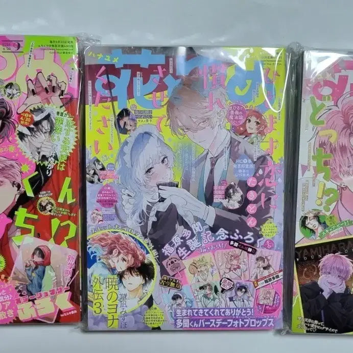 [BUNJANG] Hanatoyume Tamon-kun Volume 3 Bundle Set / 하나또유메 타몬군 3권 일괄