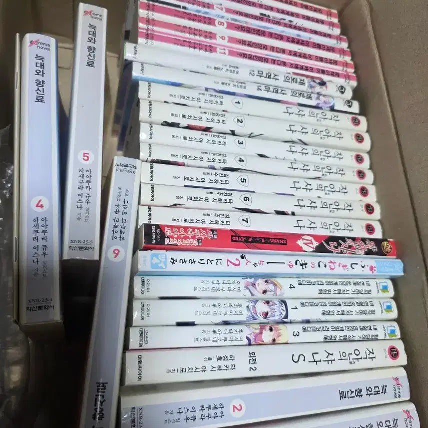 [BUNJANG] Light Novel Bundle Set / 라노벨 일괄