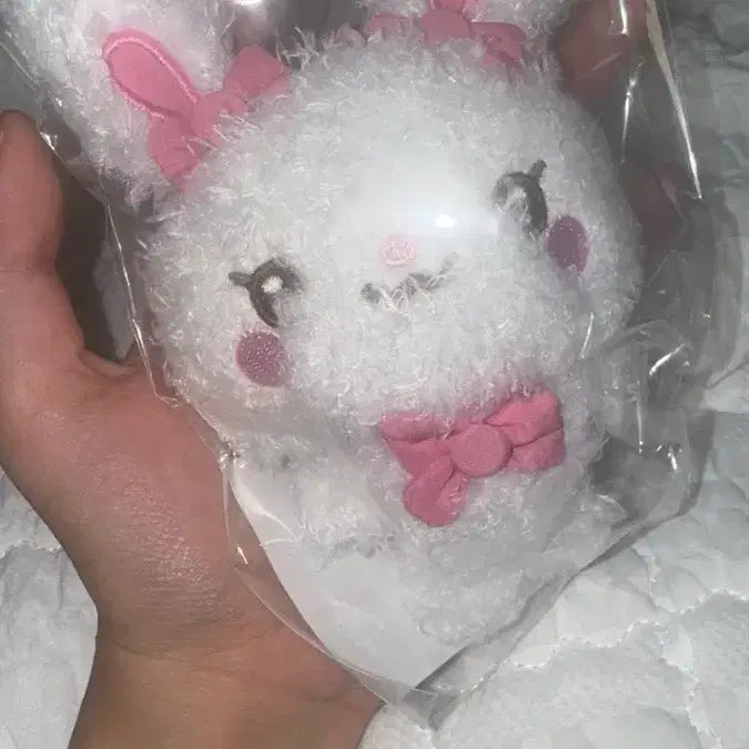 [BUNJANG] Haggyuha Torammy Doll / 하뀨하 토라뮈 인형 판매