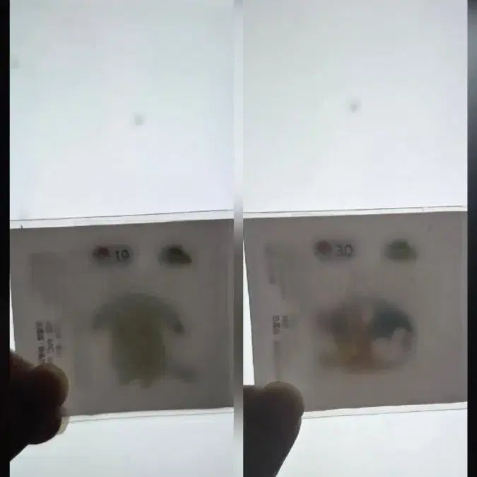 [BUNJANG] Pokopia Charizard & Pale Pikachu Bonbon Sticker Bundle Set (Sealed) / 미개봉)포코피아 30 리자몽, 19 창백카츄 봉봉 스티커 일괄 양도합니다.