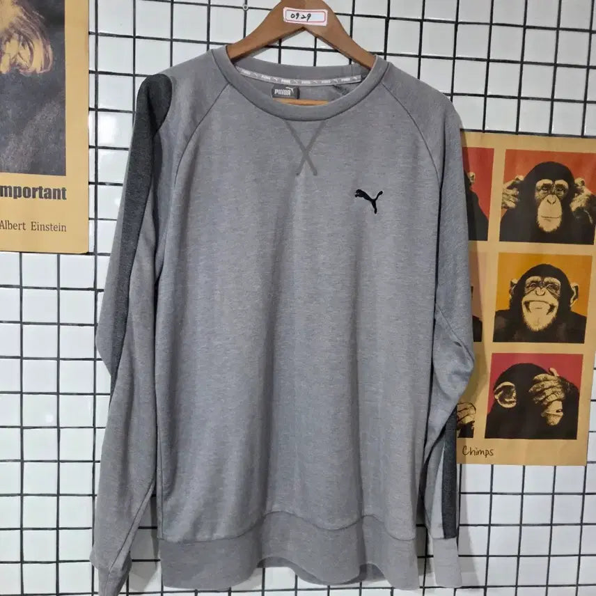 [BUNJANG] Puma Sweatshirt Gray / 푸마 맨투맨 그레이 0929