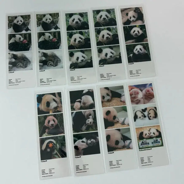 [BUNJANG] Fu Bao Autograph Error Pop-Up Poster / 푸바오 팝업 포스터 오타본 드볼