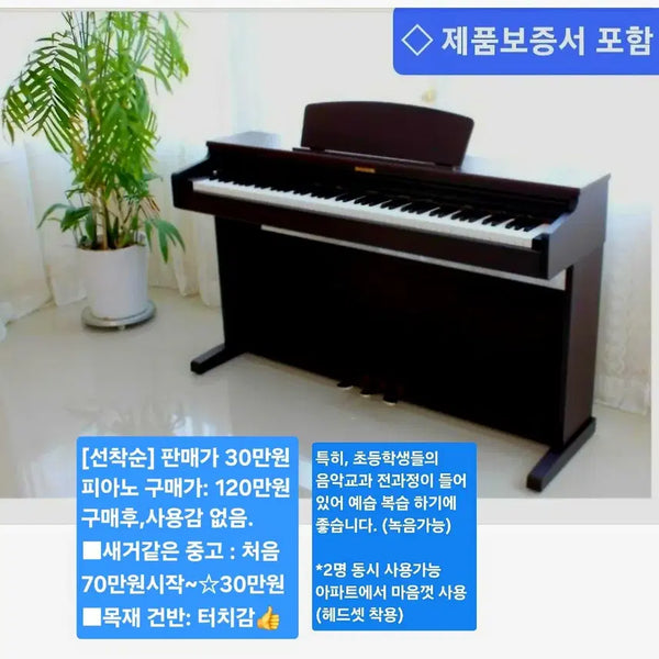 [BUNJANG] Dynatone SLP-350 Digital Piano / 디지털 피아노 : 신품급 (사진 추가)