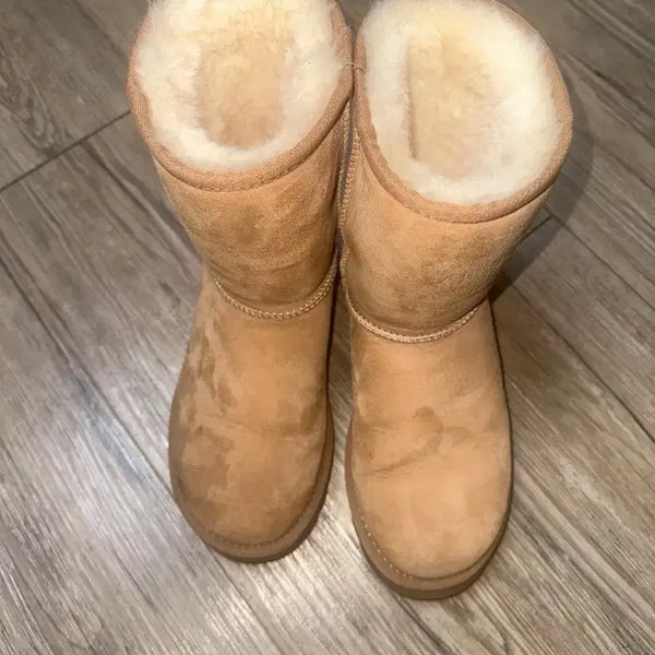 [BUNJANG] UGG Classic Boots Chestnut / 어그 클래식 부츠 체스트넛