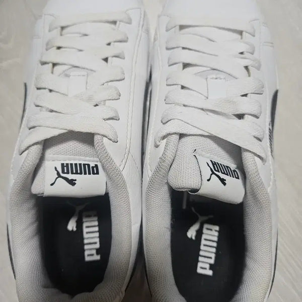 [BUNJANG] Puma White Sneakers (245) / 퓨마 스니커즈 흰색