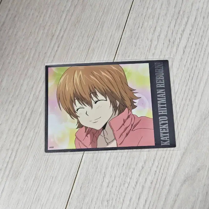 [BUNJANG] Katekyo Hitman Reborn! Highlight Pick Normal #9 / 가히리 하이라이트픽 노말 9번