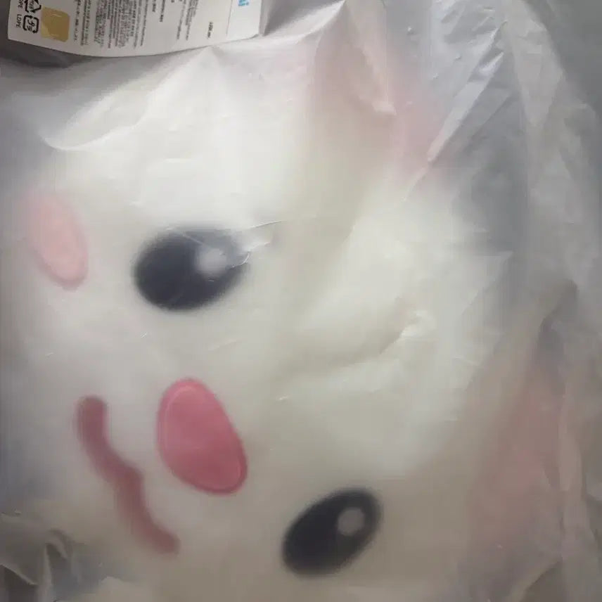 [BUNJANG] TWIMMY Face Cushion TOURSE ShinYu / 트위미 쪽 페이스 쿠션 투어스 신유