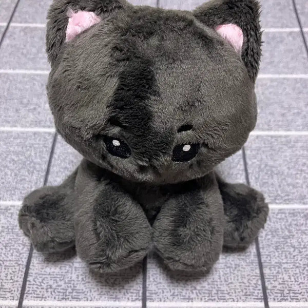 [BUNJANG] BOYNEXTDOOR Taesan Nyaungsani Doll / 냥산이 보넥도 태산 인형