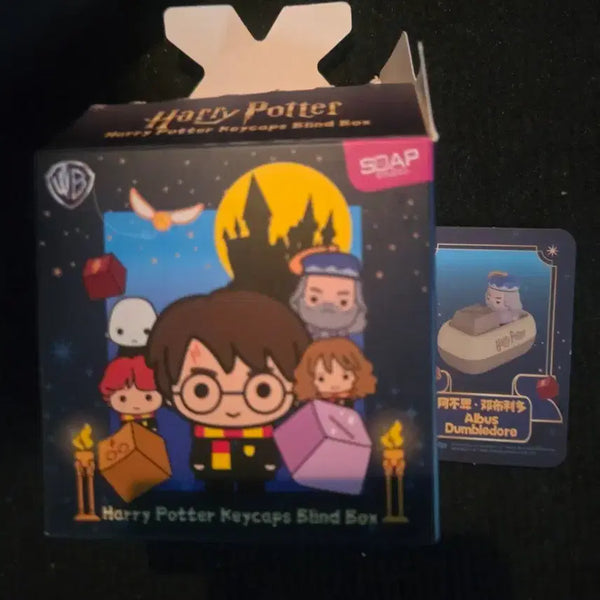[BUNJANG] Harry Potter Blind Box Dumbledore Keycap / 해리포터 블라인드 박스 덤블도어