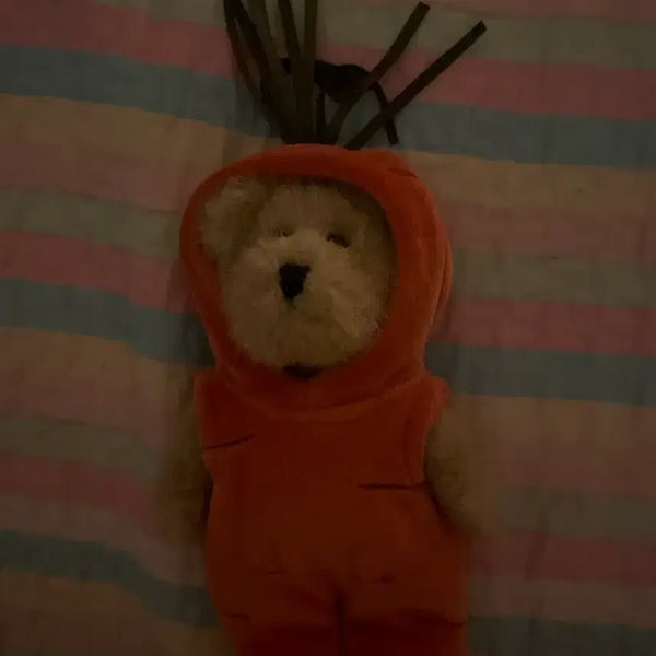 [BUNJANG] Classic Boyds Bear Carrot Plush / 고전 보이즈베어 당근인형