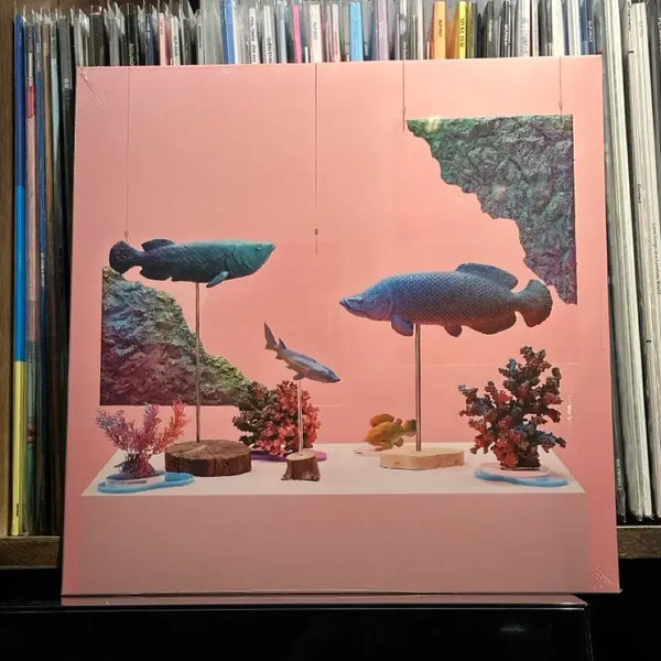 [BUNJANG] PEEJAY Walkin' Vol.2 Limited Edition LP Vinyl / PEEJAY LP 피제이 엘피 Vol.2