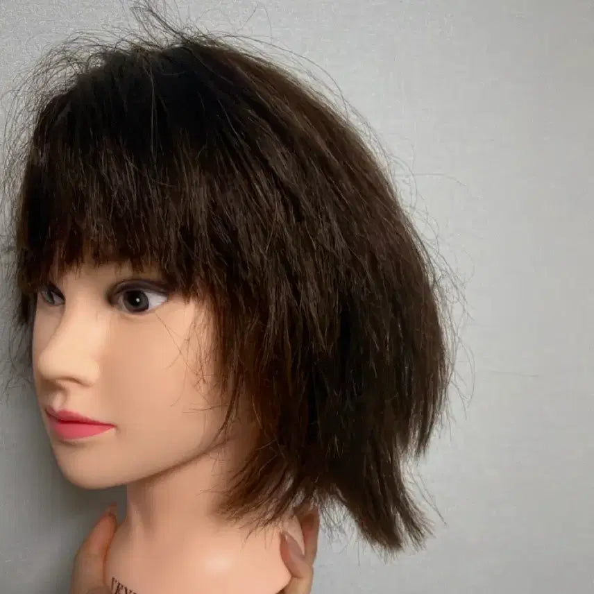 [BUNJANG] 70% Human Hair Wig / 가발팝니다 5개이상 구매시 네고