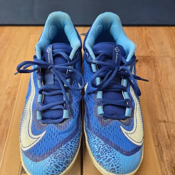 [BUNJANG] Nike Huarache 4 Blue Size 260mm / 나이키 허라취4 블루 260mm