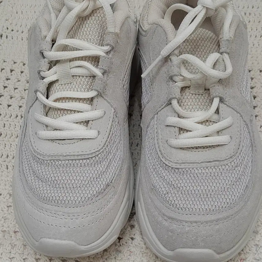 [BUNJANG] STARTER Sneakers 235 / STARTER 운동화  235