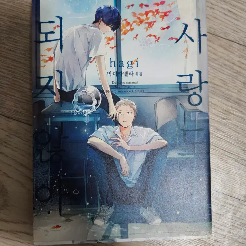 [BUNJANG] Love Isn't Possible Manhwa / 사랑도 되지 않아 만화책