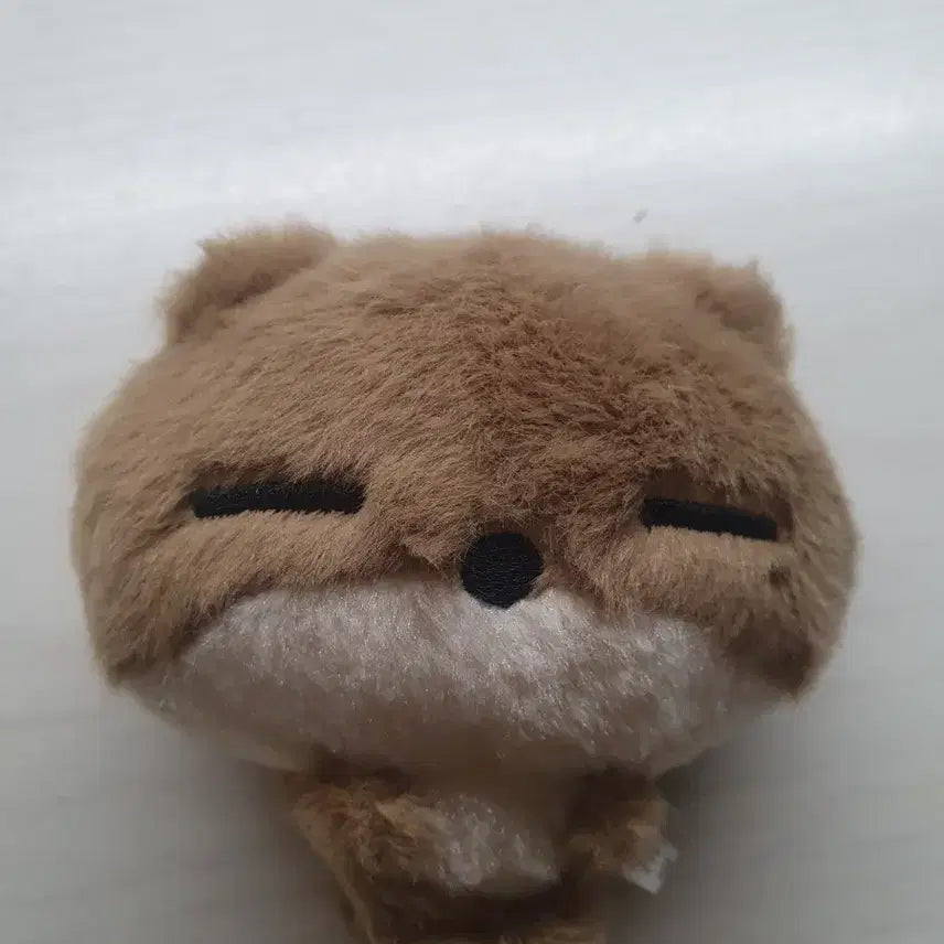[BUNJANG] BOYNEXTDOOR Riwoo Plush Doll (Su Ringda) / 보넥도 리우 비공굿 인형 누이 수링다 원가이하양도