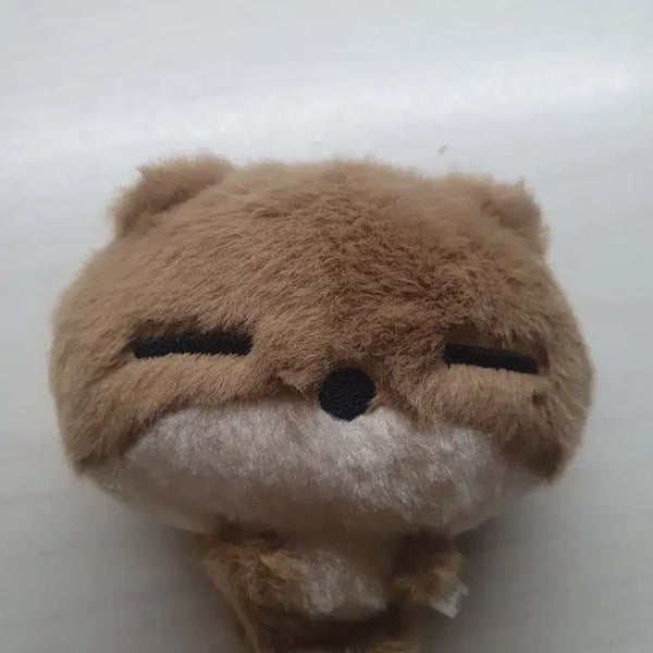 [BUNJANG] BOYNEXTDOOR Riwoo Plush Doll (Su Ringda) / 보넥도 리우 비공굿 인형 누이 수링다 원가이하양도