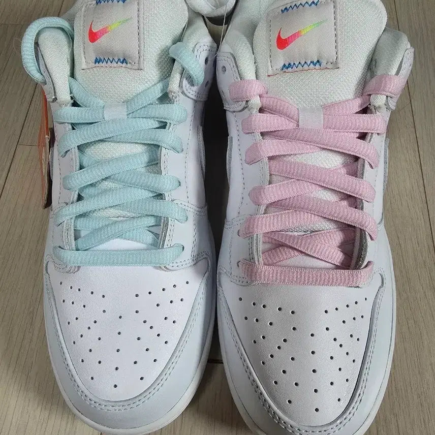 [BUNJANG] Nike Dunk Low Pro "Be True" / 나이키 덩크 로우 프로 THE TRUE