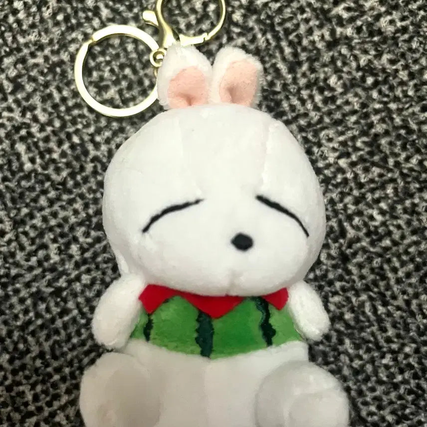 [BUNJANG] Marshmallow Rabbit Watermelon Outfit Keychain / 마시마로(엽기 토끼) 수박 옷 키링