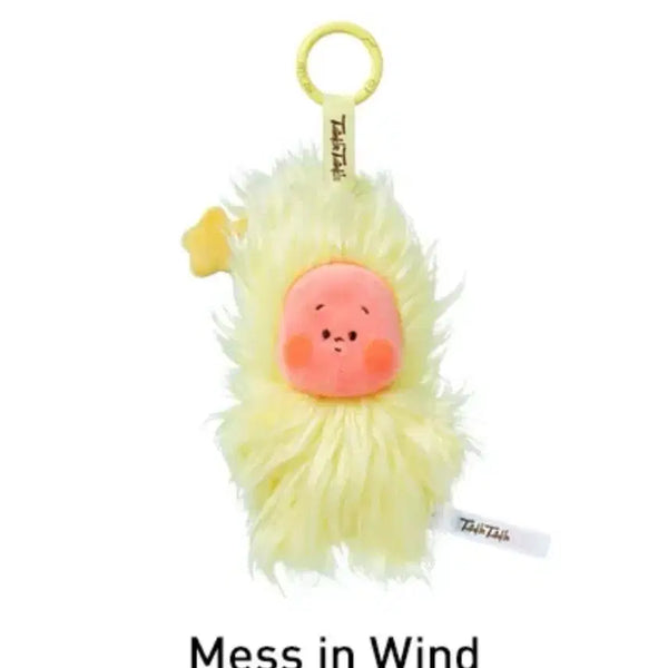 [BUNJANG] Popmart Little Star Wind Doll Keychain / 작은별 바람