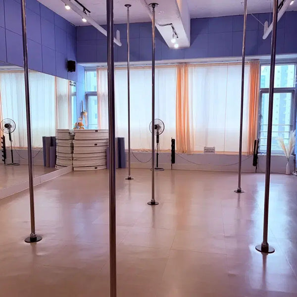 [BUNJANG] Lupit Pole PRO Pole Dancing Pole 45mm Quick Lock / 루핏폴 PRO 학원용 폴 45mm 퀵락 / 폴매트 /폴댄스 (55만원~)