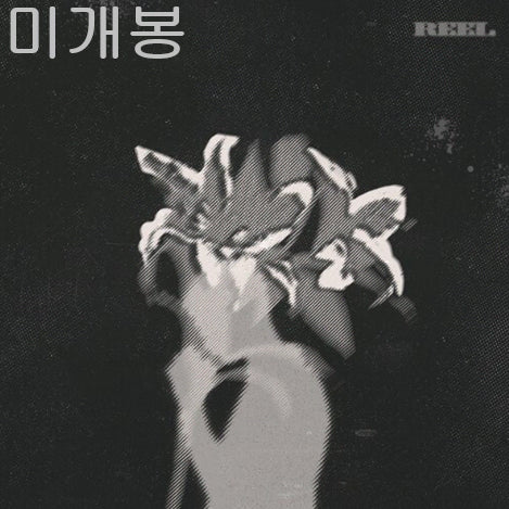 [BUNJANG] FIRR REEL (Sealed CD) / 피어 (FIRR) - REEL (미개봉, CD)