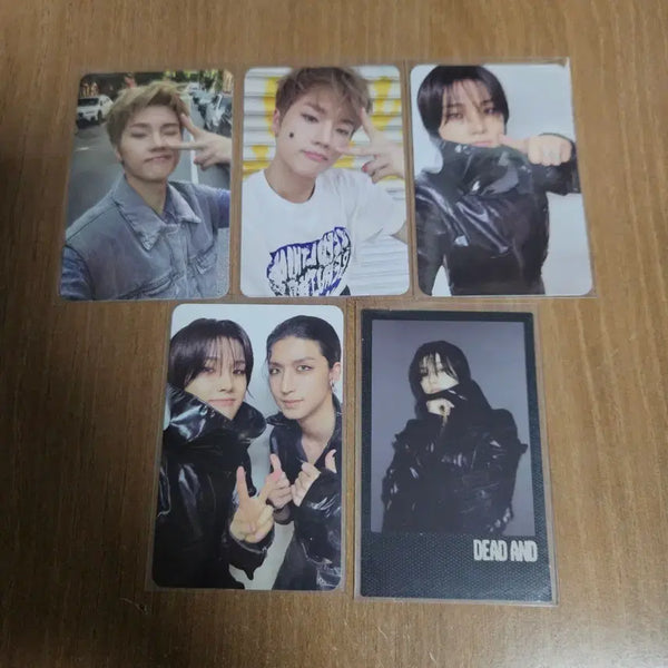 [BUNJANG] X1es Seungwoo Bundle Set Photocard / 엑디즈 정수 포카 일괄양도