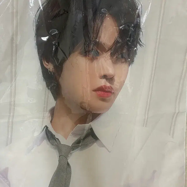 [BUNJANG] NCT WISH Riku Chiffon Poster / 엔시티위시 리쿠 쉬폰포스터