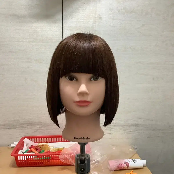 [BUNJANG] PROVIDENCE Cheon Hye-in Cut Wig / 프로아비너스천혜인 커트가발