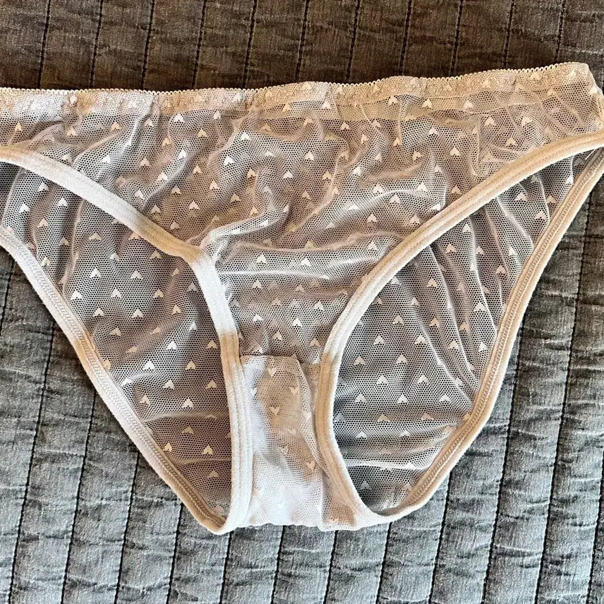 [BUNJANG] Daily Mesh Briefs (Used) / (중고) N 데일리 메쉬 삼각팬티