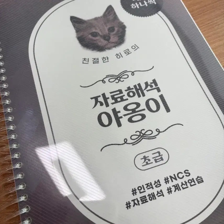 [BUNJANG] Data Interpretation "Cat" Beginner Workbook / 자료해석 야옹이 초급