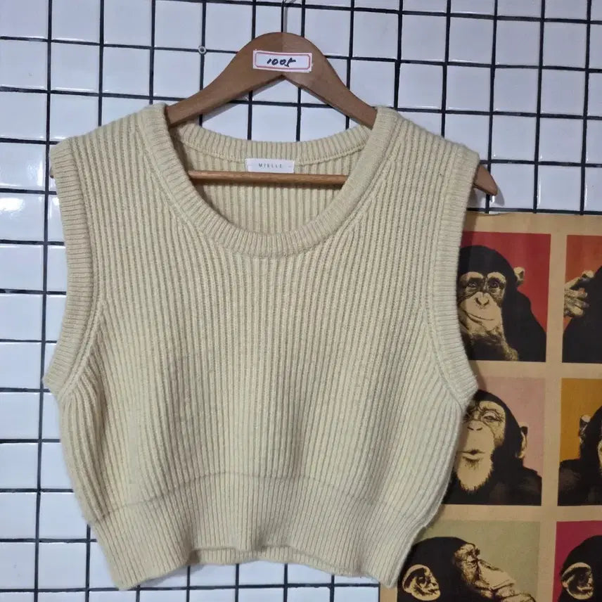[BUNJANG] Miel Knit Vest Crop / 미엘 니트 베스트 크롭 1005