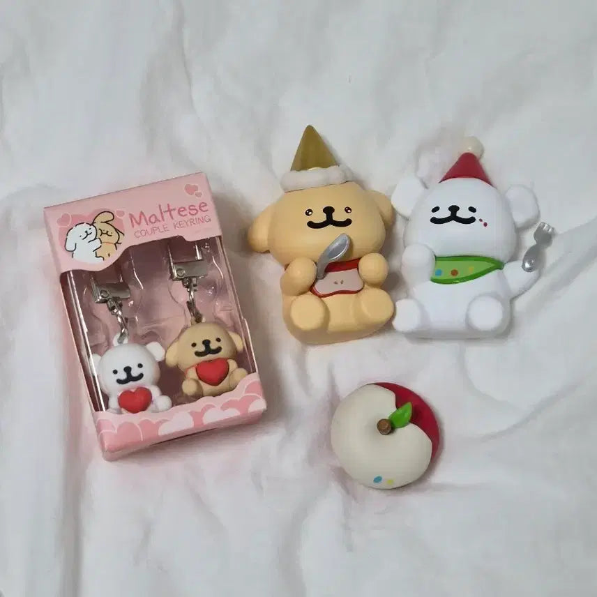 [BUNJANG] Maltese Bundle Set / 몰티즈 일괄 팝니다