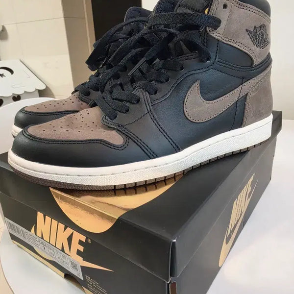 [BUNJANG] Nike Air Jordan 1 Palomino / 나이키 에어 조던 1 팔로미노 250