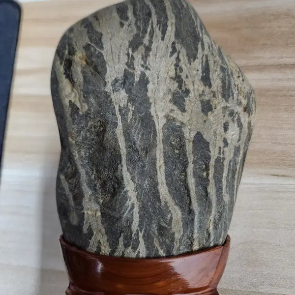 [BUNJANG] Rare Scholar Stone with Aquatic Plant Pattern / 수석 수초문양 수석입니다