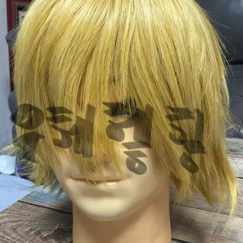 [BUNJANG] Assorted Cosplay Wigs / 다양한 가발 판매 운포 1.2