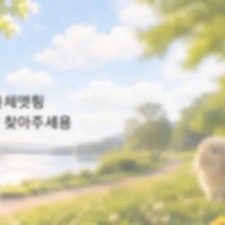 [BUNJANG] Nursing Textbook / 간호 전공책