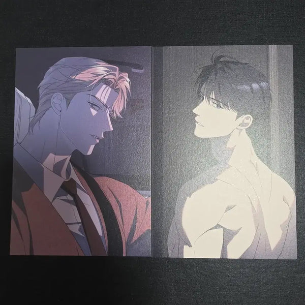 [BUNJANG] Salt Society Noctia Postcard Bundle Set / 솔트소사이어티 솔트 소사이어티 녹티아 엽서 일괄