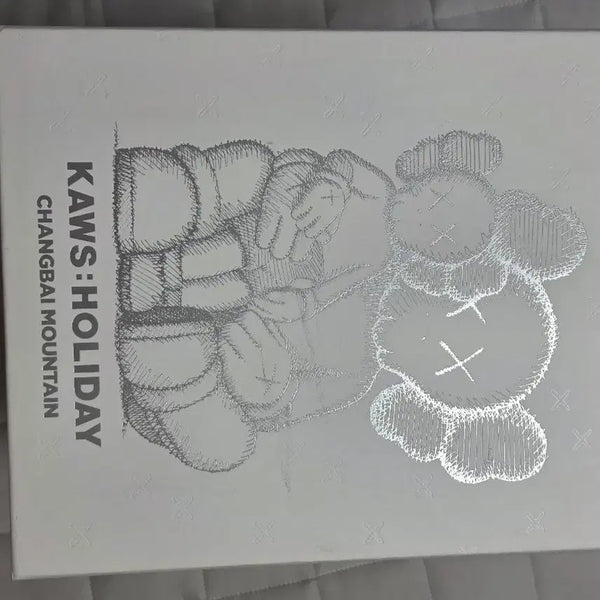 [BUNJANG] KAWS Zhangbaishan White / 카우스 장백산 화이트