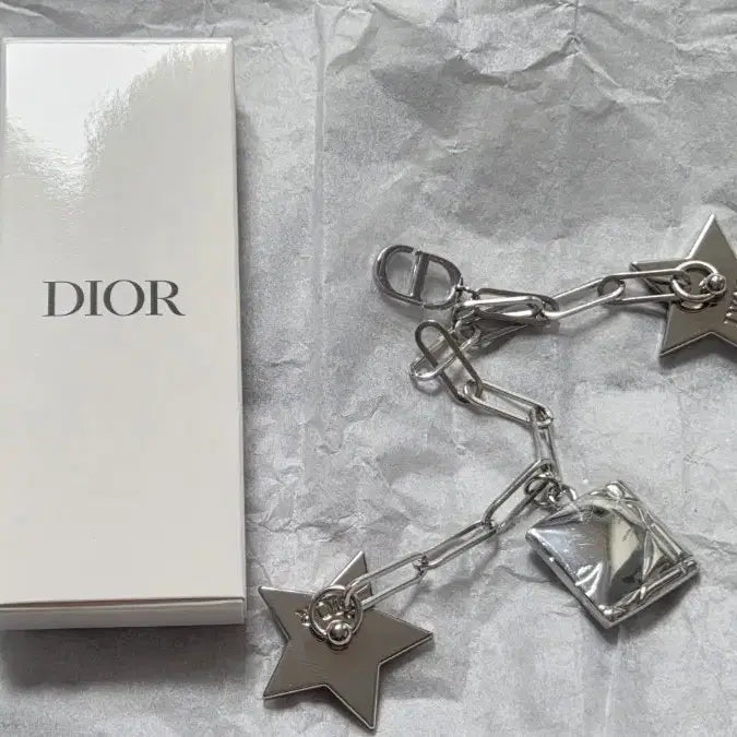 [BUNJANG] Dior Silvestar Phone Chain Silver / 디올 실버스타 폰체인